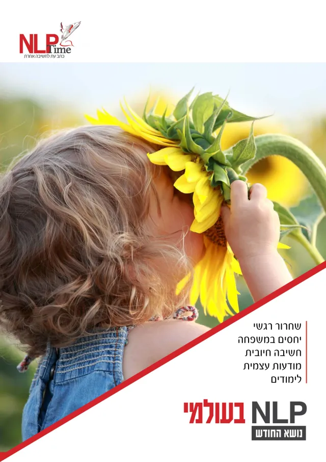 NLP בעולמי